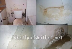 Dịch vụ chống thấm nhà vệ sinh