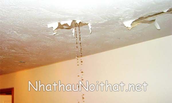 chong tham dot tran nha 1 chong tham dot tran nha 1