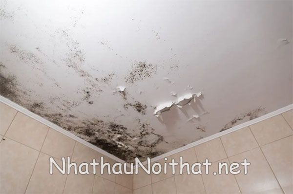 chong tham dot tran nha 10 chong tham dot tran nha 10