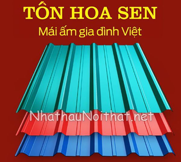 cac loai ton lop mai 12