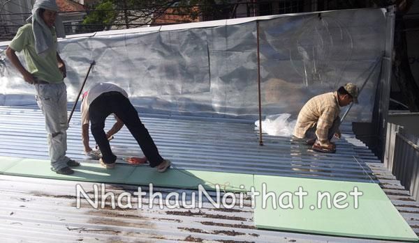 chong nong mai ton 1